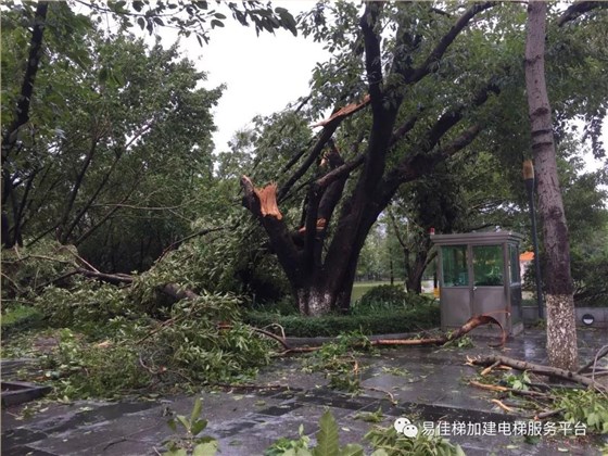 微信圖片_20180920143628