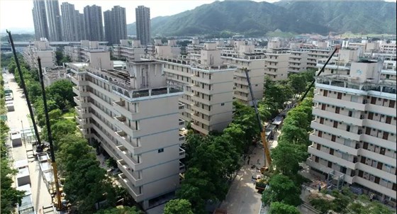 微信圖片_20190816152925 微信圖片_20190816152925