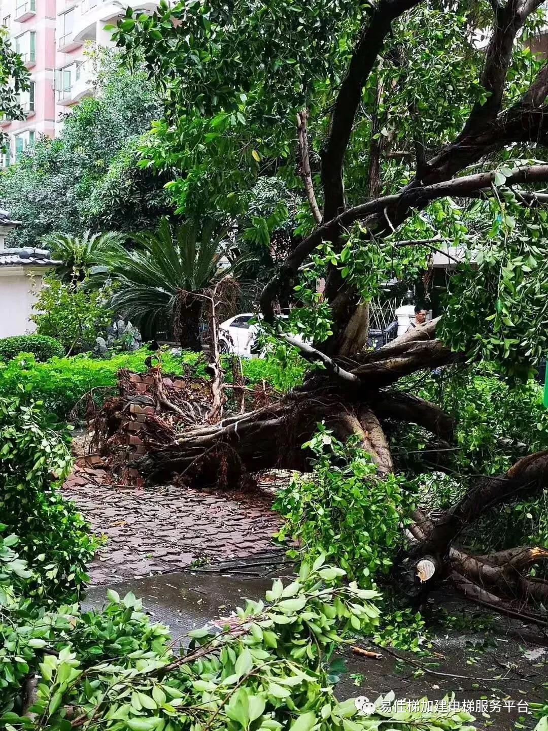 微信圖片_20180920143625