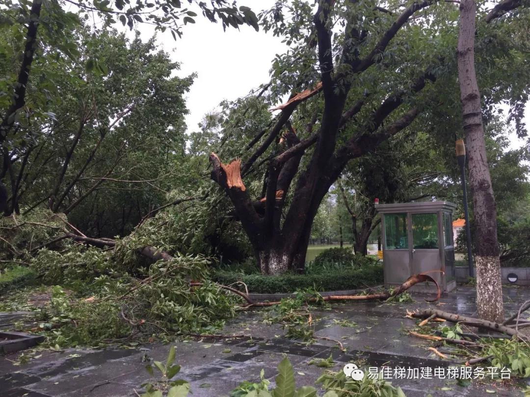 微信圖片_20180920143628