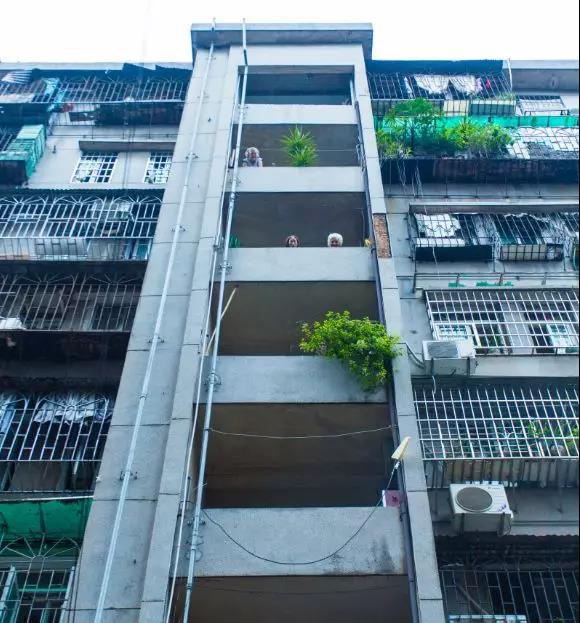 微信圖片_20190304152608