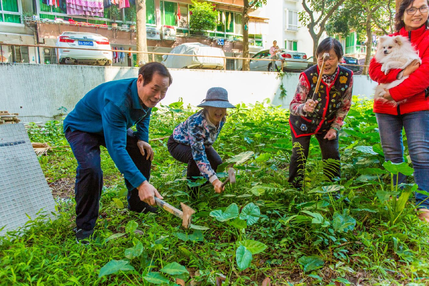 微信截圖_20190313182645