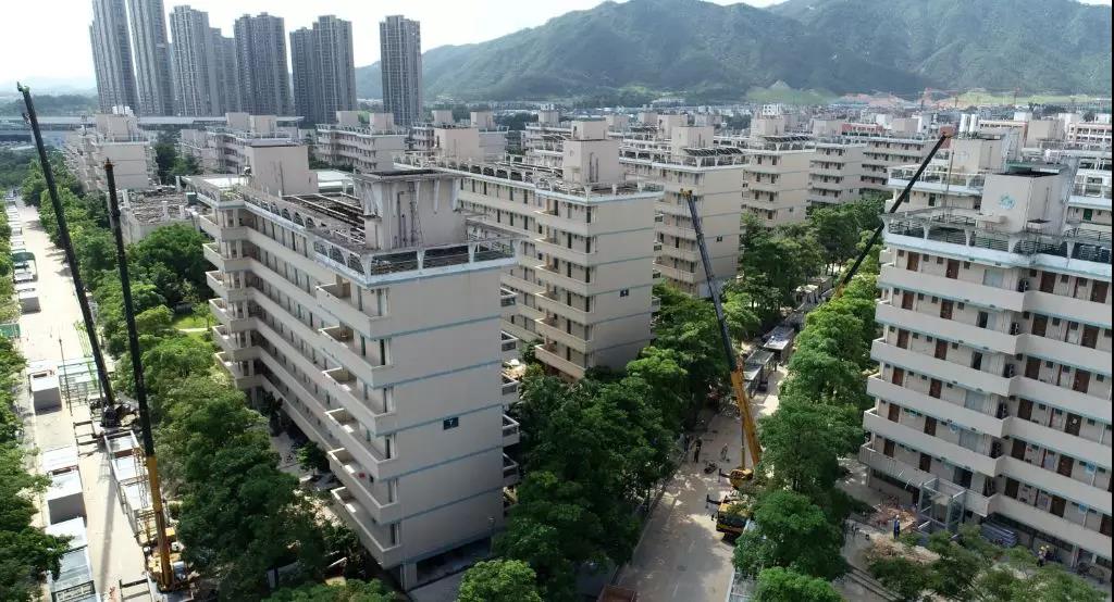 微信圖片_20190816152925 微信圖片_20190816152925